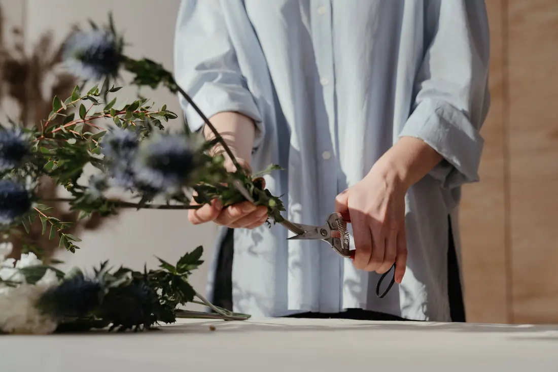 Person in White Long Sleeve Shirt Holding Green Plant