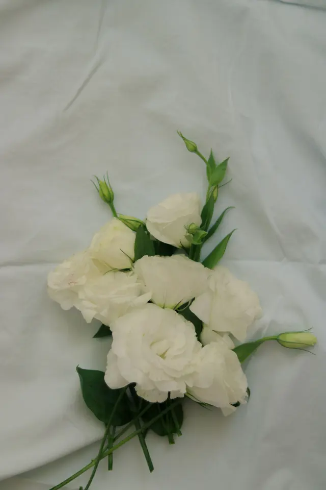 Blooming Flowers on White bedding