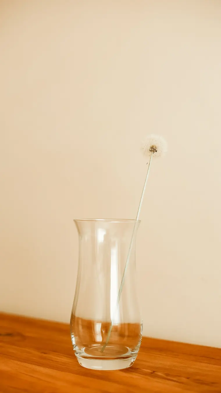 Dandelion in a Vase
