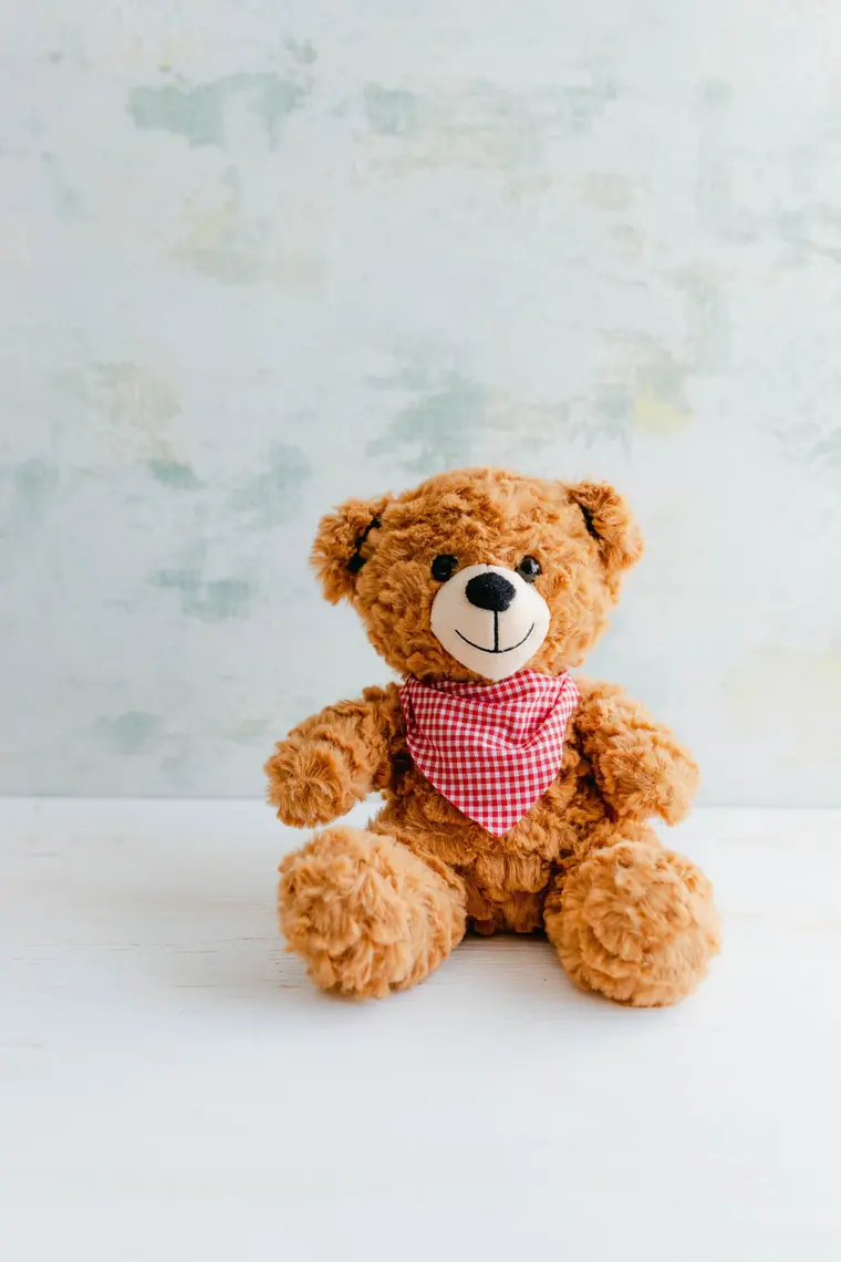 Peluş ayı