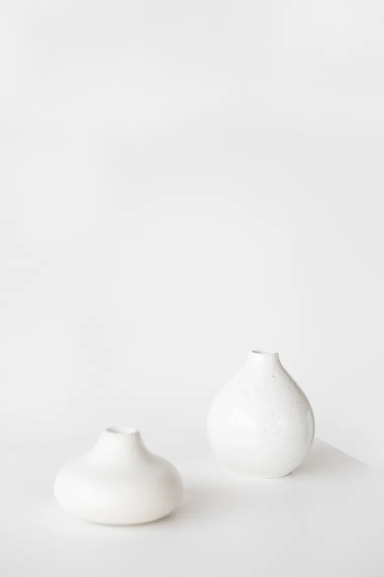 White Garlic on White Surface