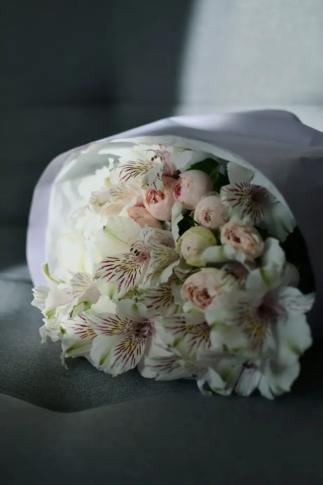 Close-up of White Peruvian Lilies